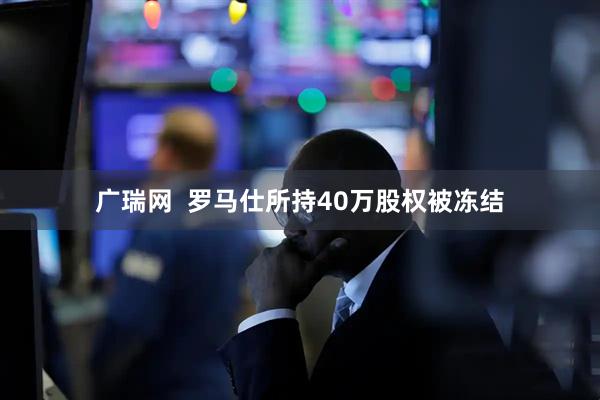 广瑞网  罗马仕所持40万股权被冻结