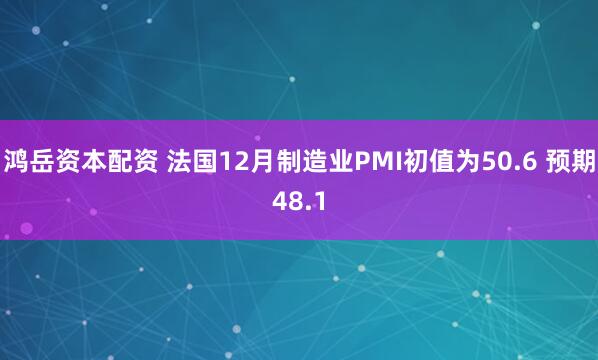 鸿岳资本配资 法国12月制造业PMI初值为50.6 预期48.1